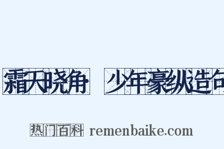 霜天晓角·少年豪纵造句是什么意思的图片